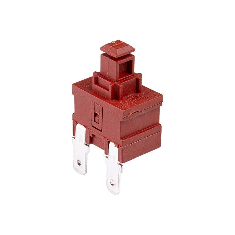 P12-21A Button Switch