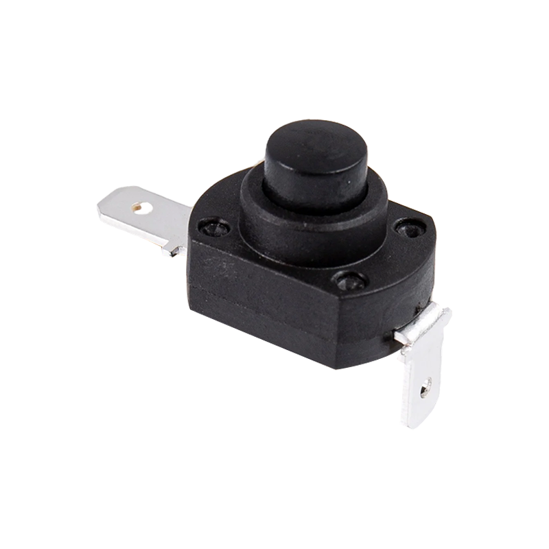P12-6C Button Switch